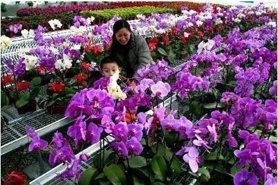 北京花卉大观园