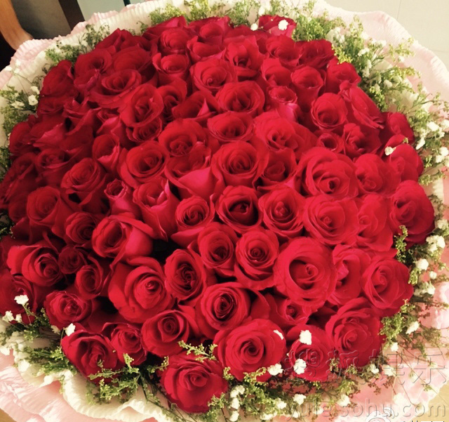 朱孝天向女友求婚送出一大束玫瑰花.
