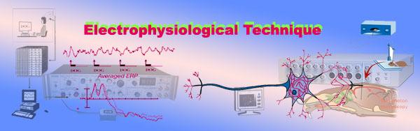 现代"读脑"电生理技术
