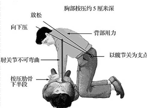 方向:手肘固定;手臂伸直;肩膀位于手掌上方;按压力量直接作用于胸骨上