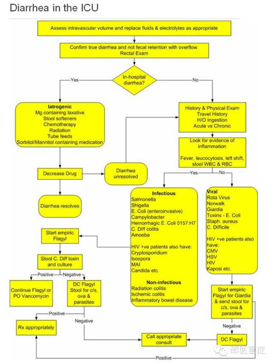 ICU腹泻患者的处理流程图