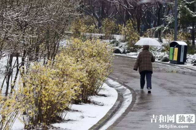 温浏乡花交村人口_温浏乡石葵村图片