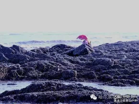 中餐后游览【海峰寺】海峰寺座落于庄河市石城乡东升村,始建于明天启