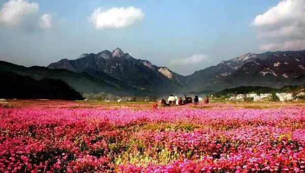 每年3月 地址:九资河镇滥泥畈村,九资河镇花油畈村 最佳旅游季节:每年