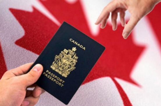 2017年加拿大留学移民热门专业全攻略