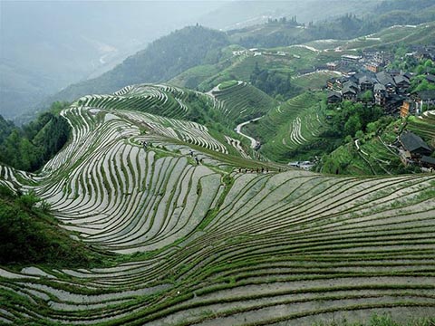 中国梯田"地球上最美的曲线"