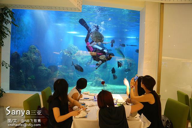 亚龙湾迎宾馆:遇见海底世界餐厅