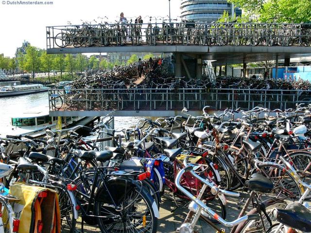 荷兰是全欧洲骑自行车最不安全的国家?