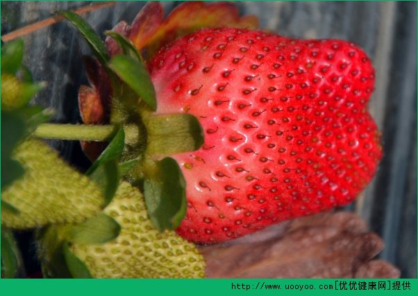 草莓为什么会畸形?草莓畸形的能吃吗?