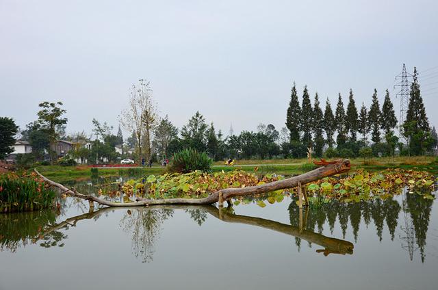 成都时光|郫县三道堰镇青杠树村