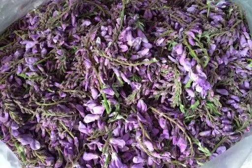 怎么吃紫藤花