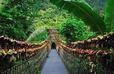 游玩时长:3-4小时 保亭县呀诺达雨林文化旅游区
