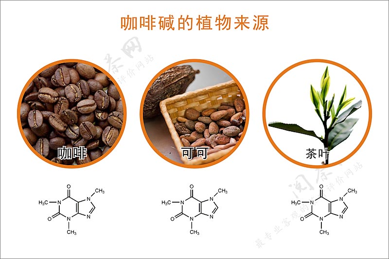 茶叶中的咖啡碱是怎样的