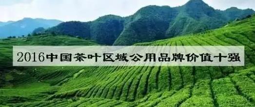 2016中国茶叶区域公用品牌价值十强出炉
