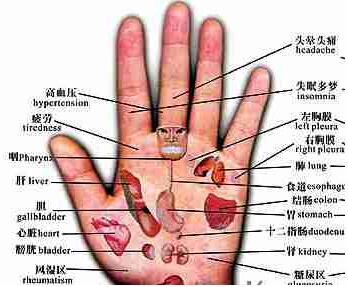 几乎失传的手诊,实在是太全太珍贵了