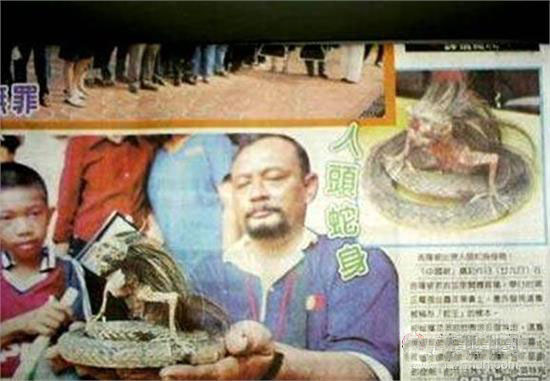 印尼蛇王竟捕捉到人头蛇身怪物 身有剧毒攻击