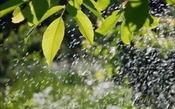 16),郑州迎来今年春天的第一场雨,这些雨中的景色您有留意到么?