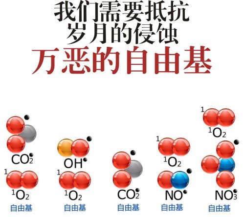 黑枸杞中的花青素是如何对抗人体氧化的?