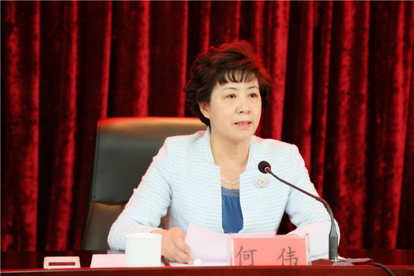 夏红民副省长出席甘肃省旅游产业发展专题研讨
