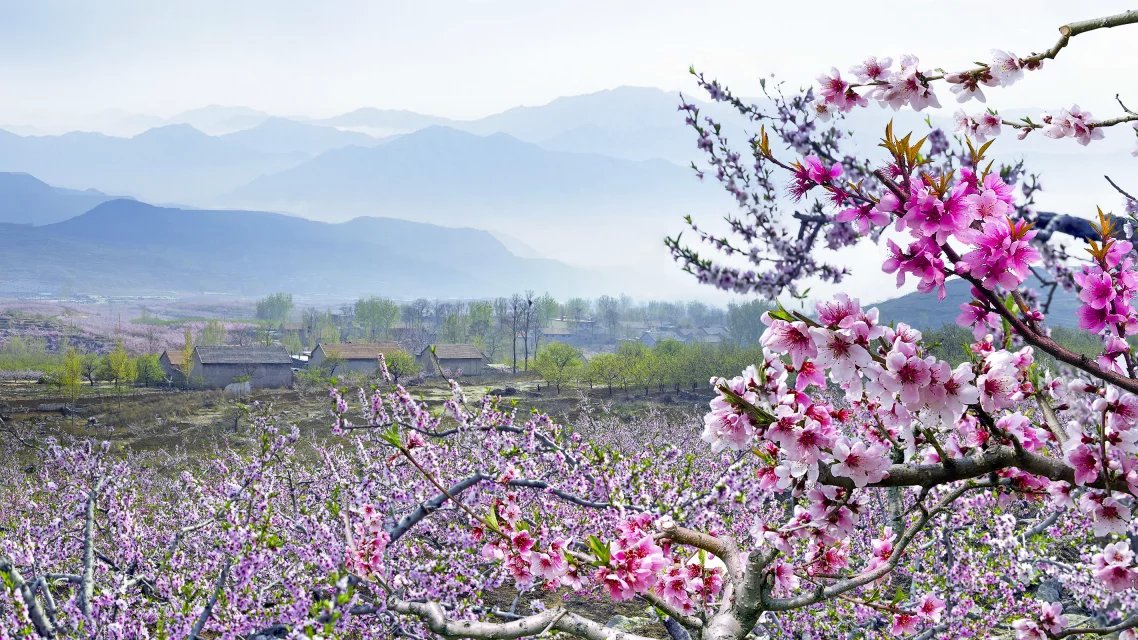 成语什么步芳草_成语故事图片(3)