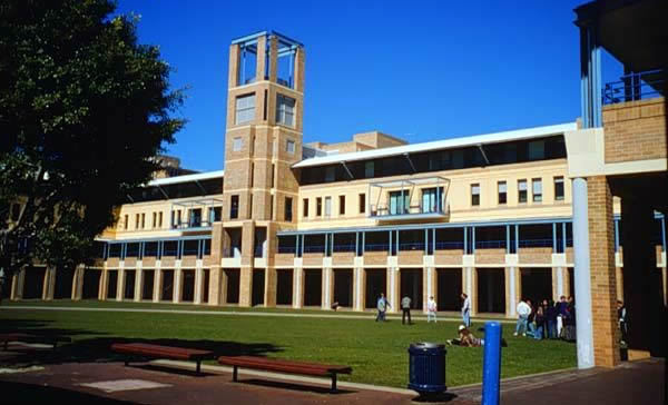 "新常春藤"大学