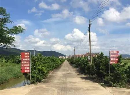 广州花都宝桑园