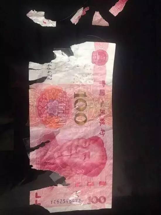 温州男子给老婆留500零花钱,被狗看到后,悲剧了!