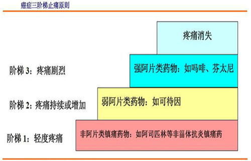 误区三阿片类药物易上瘾,不能轻易使用