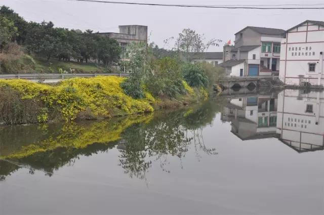 石船镇石龙水库