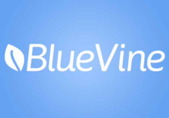 发票代理公司BlueVine在如何解决小企业融资问