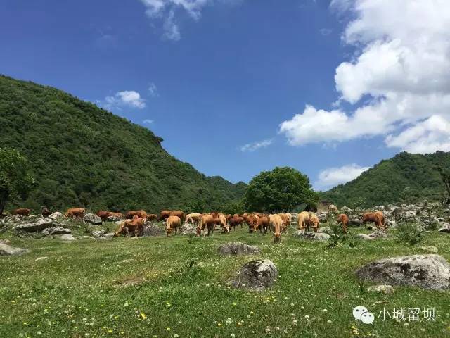 藏在汉中留坝深山中的八大美景,你都去过吗?