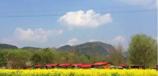 贵阳花溪区马洞村有多少人口_贵阳花溪区青岩龙井村