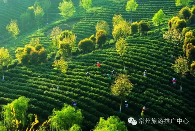 江苏溧阳经济总量_江苏溧阳新能源图片