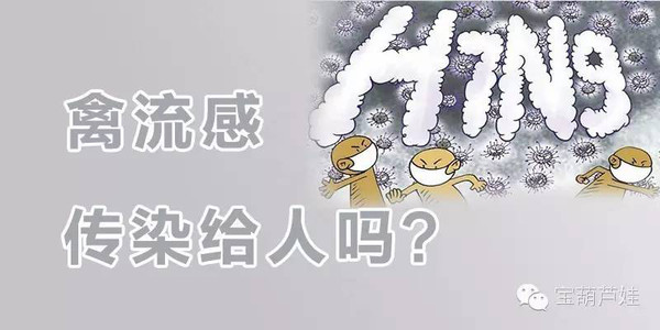 【Yao知道】禽流感传染给人吗?