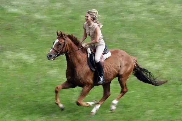 人骑马奔跑的速度:约50km/h   然而,人类还是没有对速度放弃追求,于是