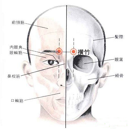 ▼攒竹穴正确了解护眼穴接下来跟着康康预防真性近视治疗假性近视缓解