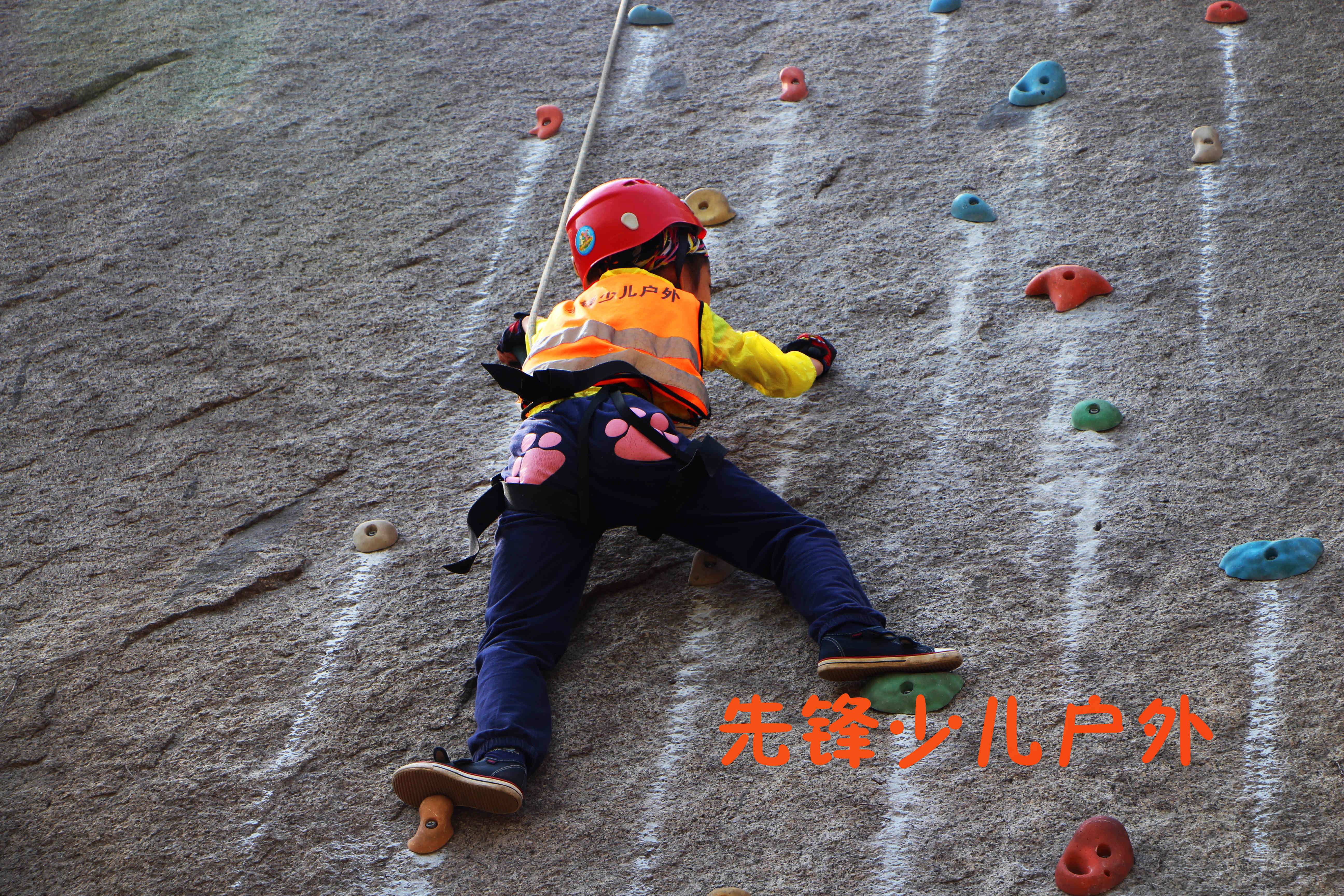 攀岩初级班|5天室内+2天野攀，，做个活力四射的“攀岩”小达人-童游-亲子童游看世界·总有更好的亲子游