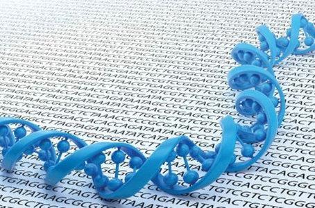 临床预测感染疾病的全基因组测序技术应用
