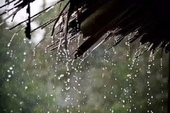 落雨听禅曲谱_落雨听禅的唯美图片