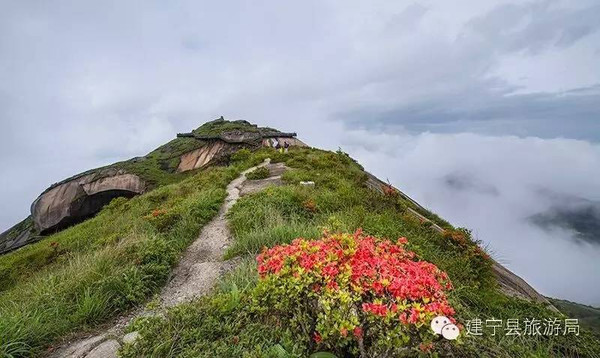 清新花乡61福源建宁旅游微信征集作品展五月我们相约金铙山