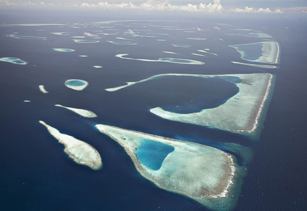 工厂化内循环海水鱼类养殖水质净化技术