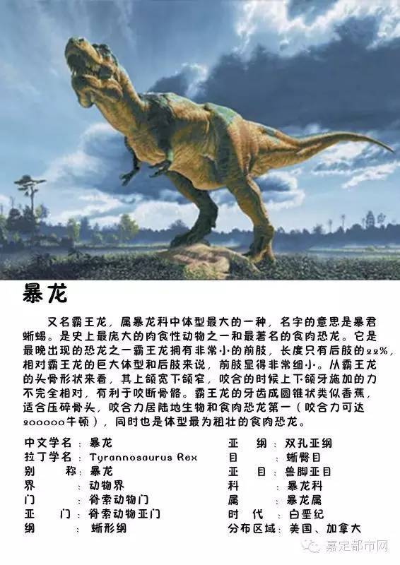 其它 正文  本次恐龙文化节活动以逼真的恐龙模型,丰富的恐龙种类,生