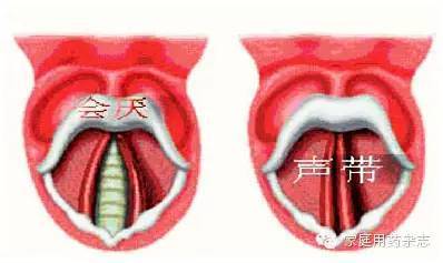 嗓音嘶哑?你的咽喉可能有这些问题