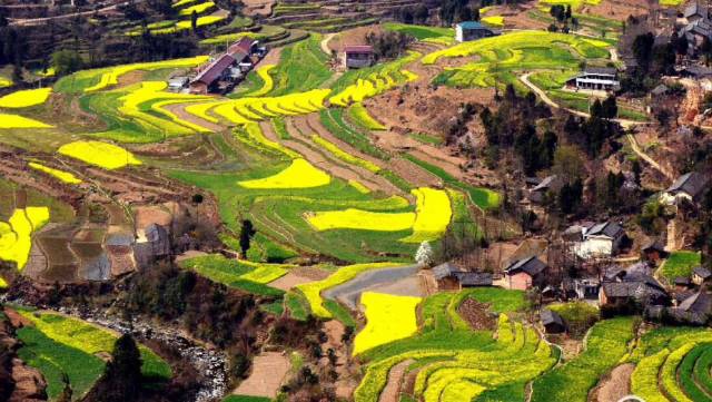 巴藏镇后背山村多少人口_贵州巴平村山村图片