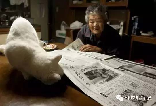 最长情的爱就是陪伴,日本老人与猫的故事看哭
