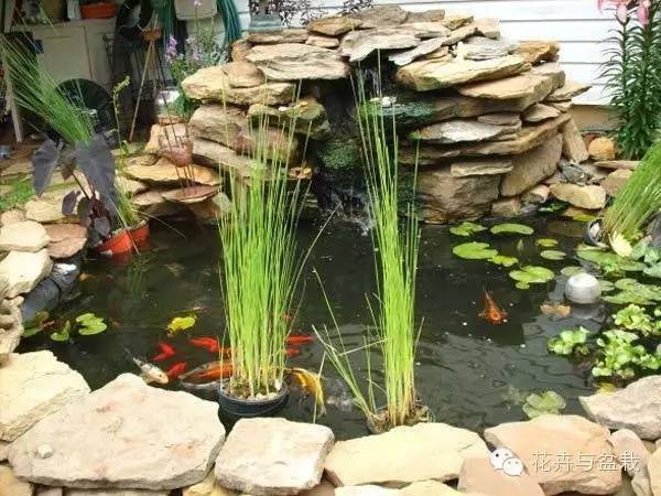 小院、花园的最美水池,绿植中的家庭水族馆