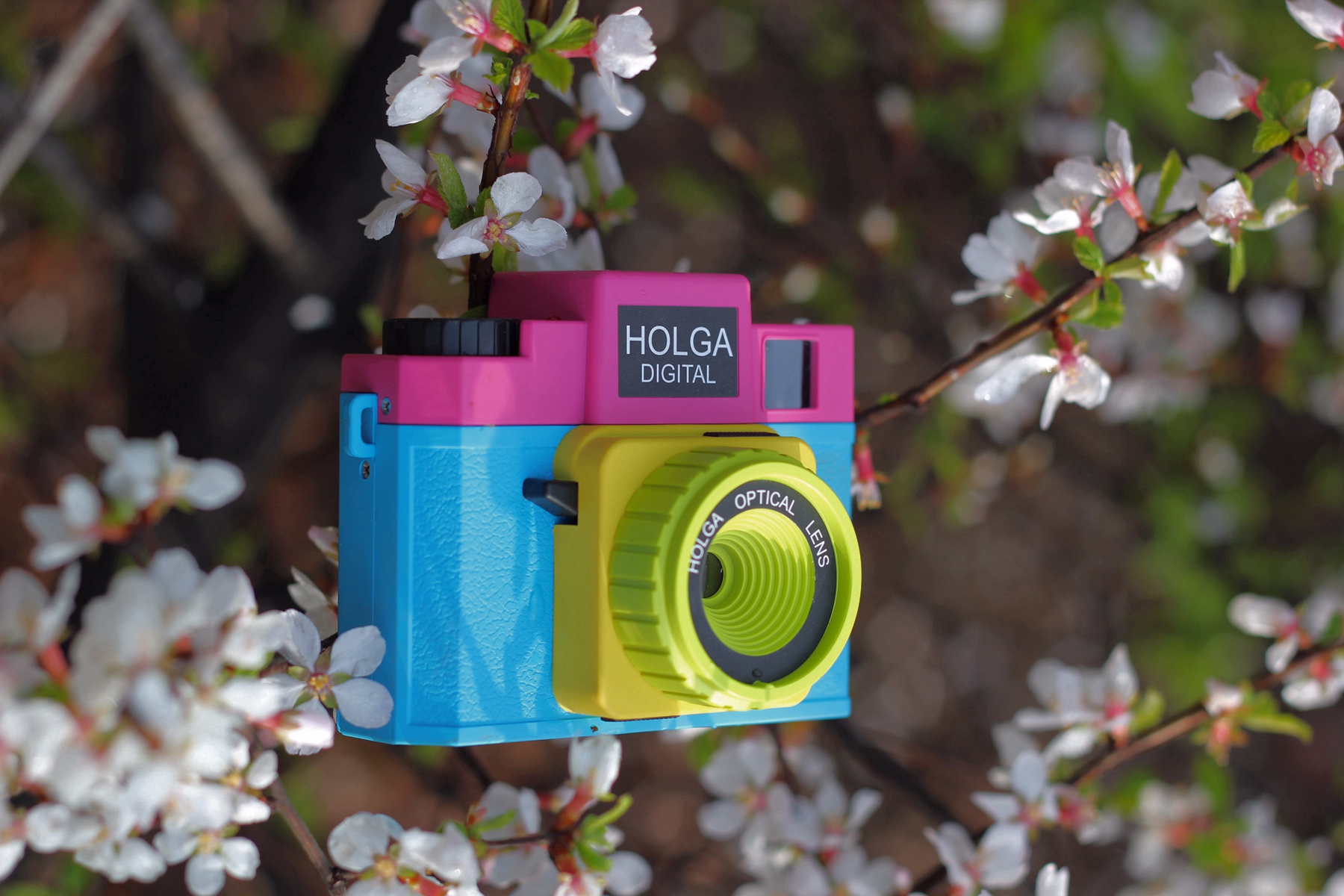 相机里的一枝花--Holga好光数码相机体验