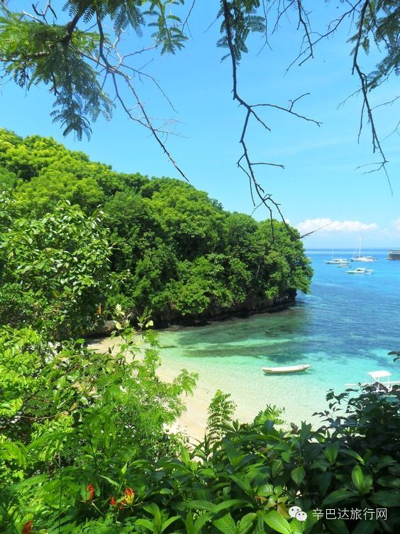 全巴厘岛最美的海滩,99%的人都不知道!免费全