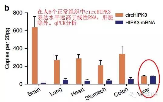 人口调控方案_张洪泉 法定婚龄降至18岁 生孩子的难道就会多吗(2)