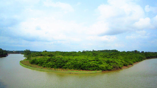 东寨港红树林自然保护区导游词